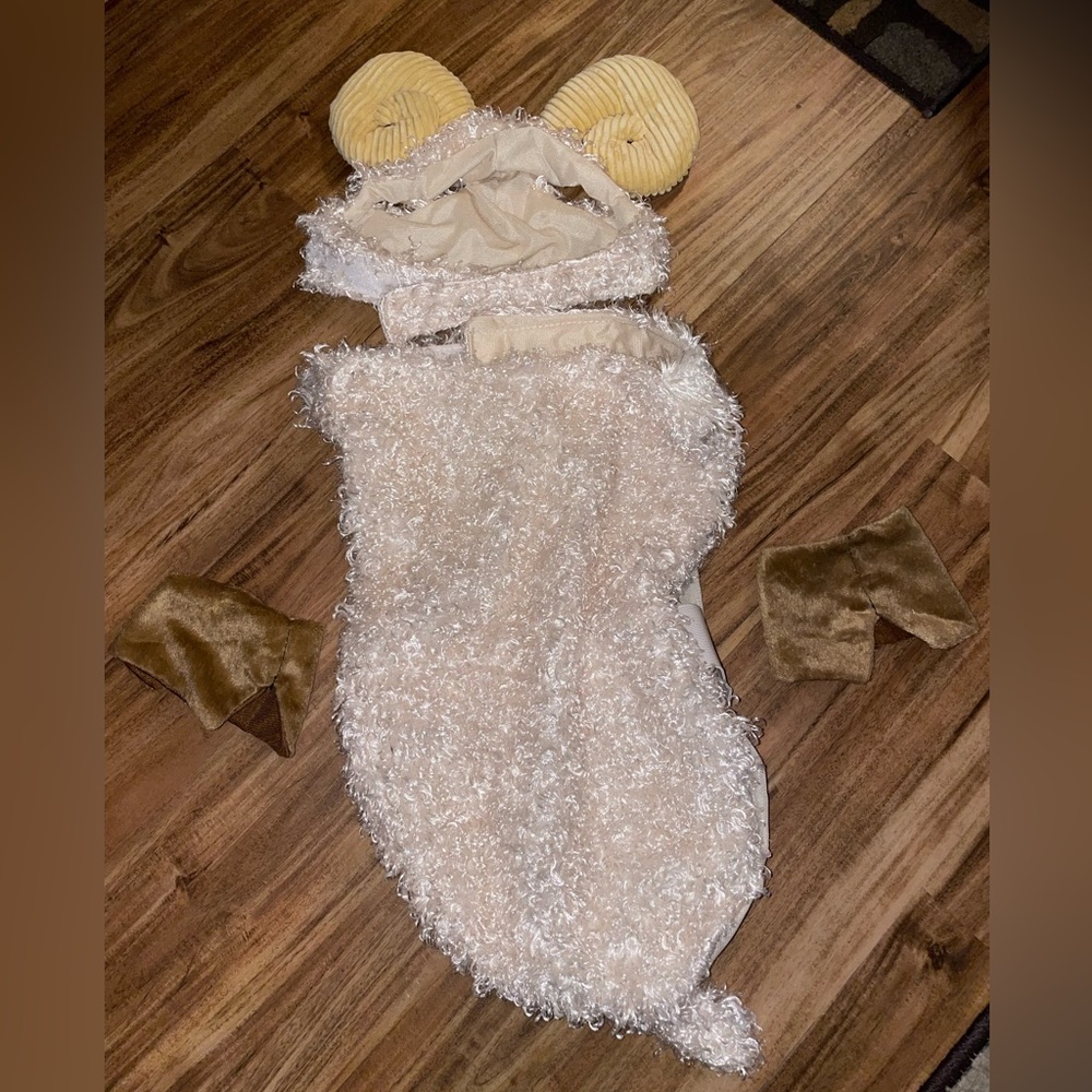 Dog sheep ram costume size large